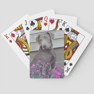 Jeu De Cartes Labradors en argent