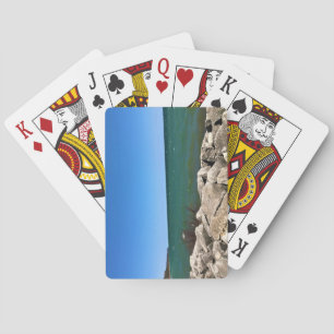 Jeu De Cartes Lac Michigan, Port Washington, Wisconsin