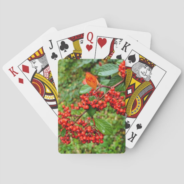 Jeu De Cartes lactée (dos)