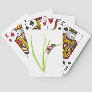 Jeu De Cartes Ladybug