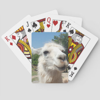 Jeu De Cartes Lama heureux