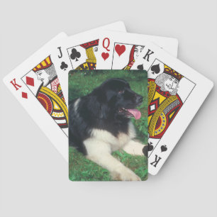 Jeu De Cartes Landseer Newfoundland Dog Jouer des cartes