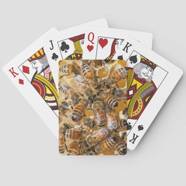 Jeu De Cartes L'apiculture à Arlo's Honey Farm (dos)