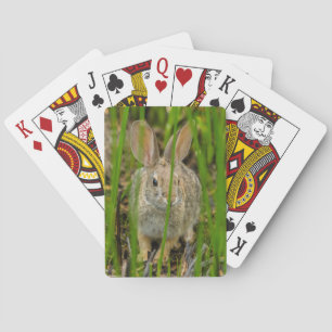 Jeu De Cartes Lapin Cottontail du désert