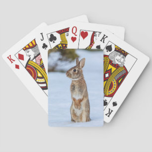 Jeu De Cartes Lapin dans la neige