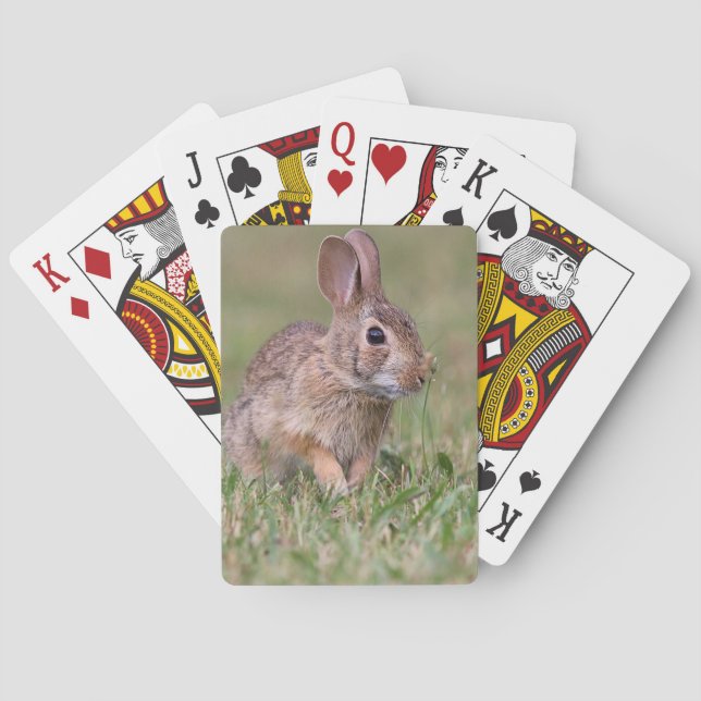 Jeu De Cartes Lapin de lapin (dos)