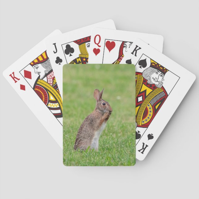 Jeu De Cartes Lapin debout dans l'herbe et l'air timide (dos)