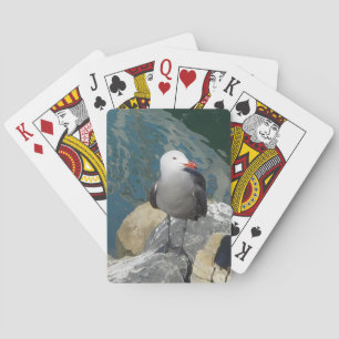Jeu De Cartes Larry Day de la Mouette Ken Gage Photographie d'oi