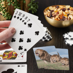 Jeu De Cartes Lazy Lion Brothers sur la Savannah