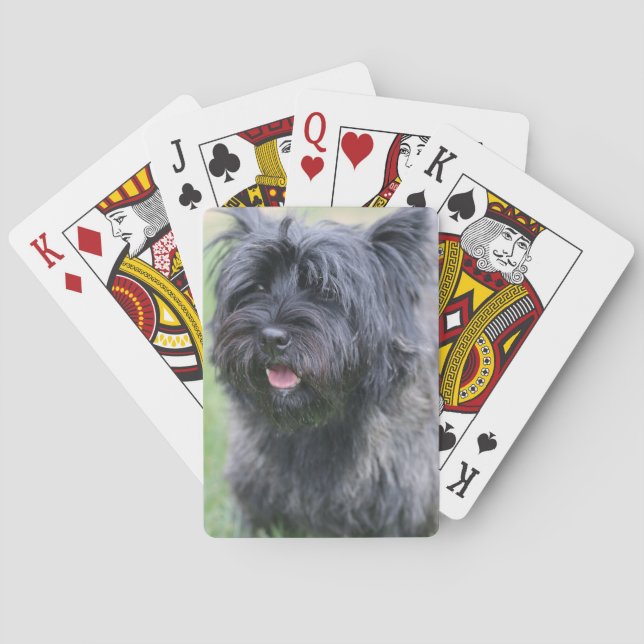 Jeu De Cartes Le Caire (dos)