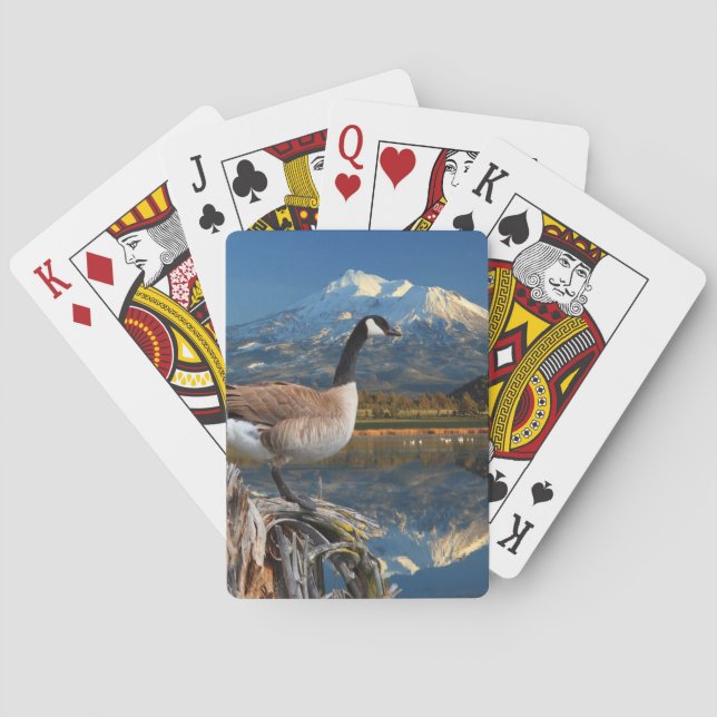 JEU DE CARTES LE CANADA SE DÉPLACE SUR LE LAC (dos)