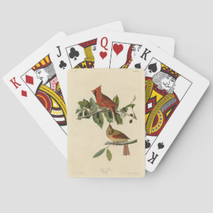 Jeu De Cartes Le cardinal Grosbeak de Audubon's Birds of America