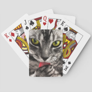 Jeu De Cartes Le chat lèchent