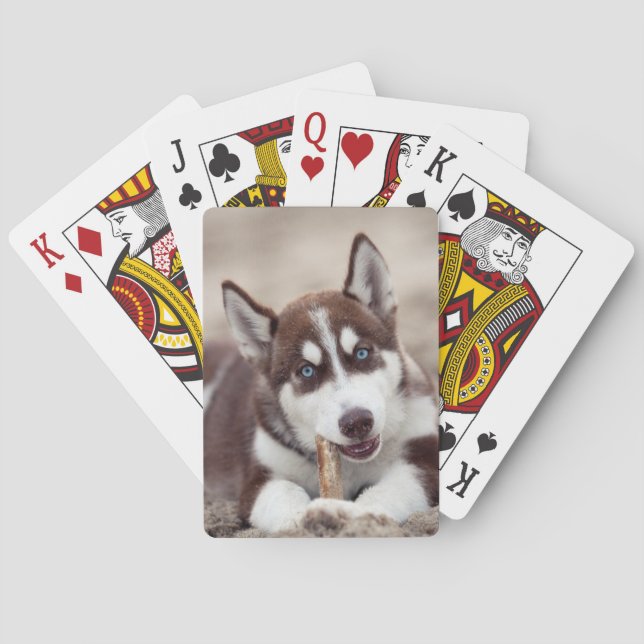 Jeu De Cartes Le chiot sibérien Husky à la plage (dos)