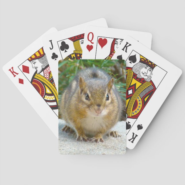 Jeu De Cartes Le Cute Chipmunk A L'Oeil Sur Vous (dos)