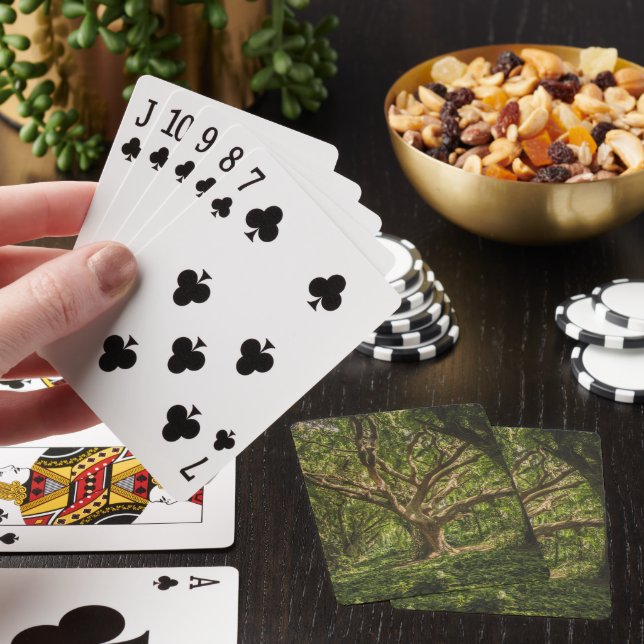 Jeu De Cartes Le grand vieux arbre dans la forêt (In Situ)