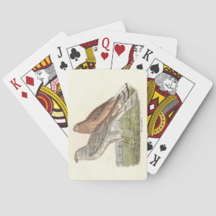 Jeu De Cartes Le harceleur du Nord (Buse à queue annelée) NY Bir