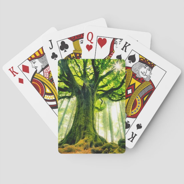 Jeu De Cartes Le hêtre de Ponthus (dos)