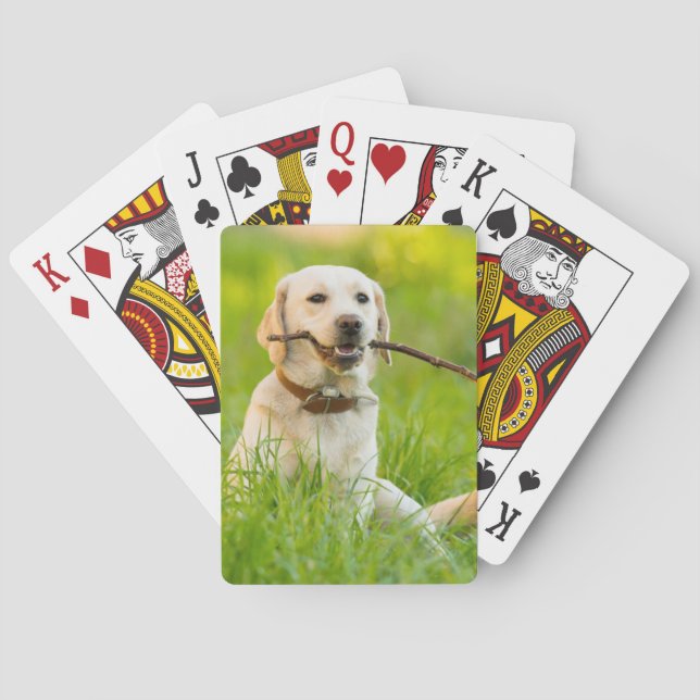 Jeu De Cartes Le Labrador Jaune se rapproche avec un bâton (dos)