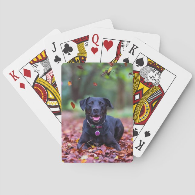 Jeu De Cartes Le Labrador Noir Dans Les Feuilles D'Automne (dos)