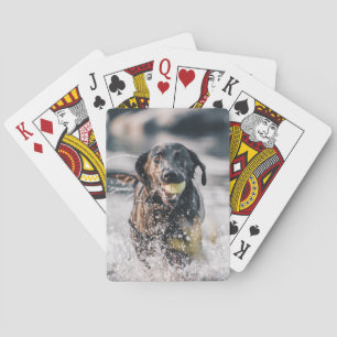 Jeu De Cartes Le Labrador Noir Joue Dans L'Eau