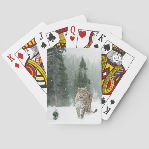 Jeu De Cartes Le léopard des neiges majestueux en hiver