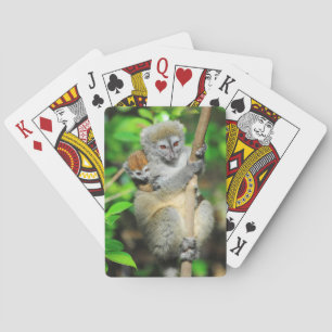 Jeu De Cartes Le Madagascar, Andasibe, Ile Lemuriens aux., mère