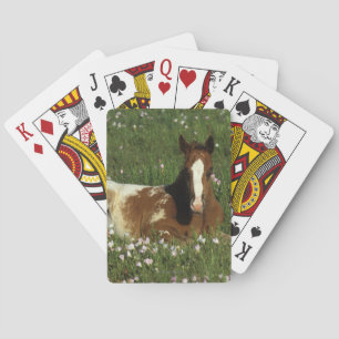 Jeu De Cartes Le poulain d'Appaloosa qui s'allonge en fleurs