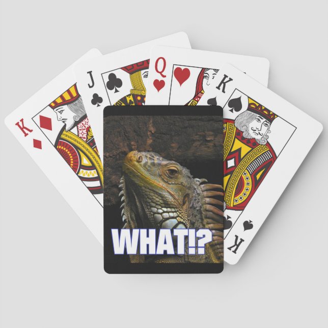Jeu De Cartes Le Quoi ! ? Iguana (dos)