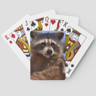 Jeu De Cartes Le raton laveur drôle le collant est langue