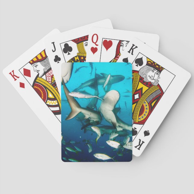 Jeu De Cartes Le requin sous-marin français (dos)