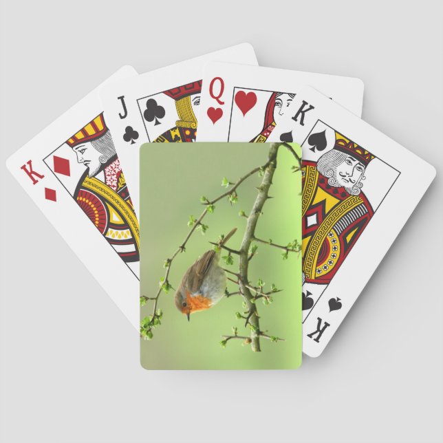 Jeu De Cartes Le Robin (dos)