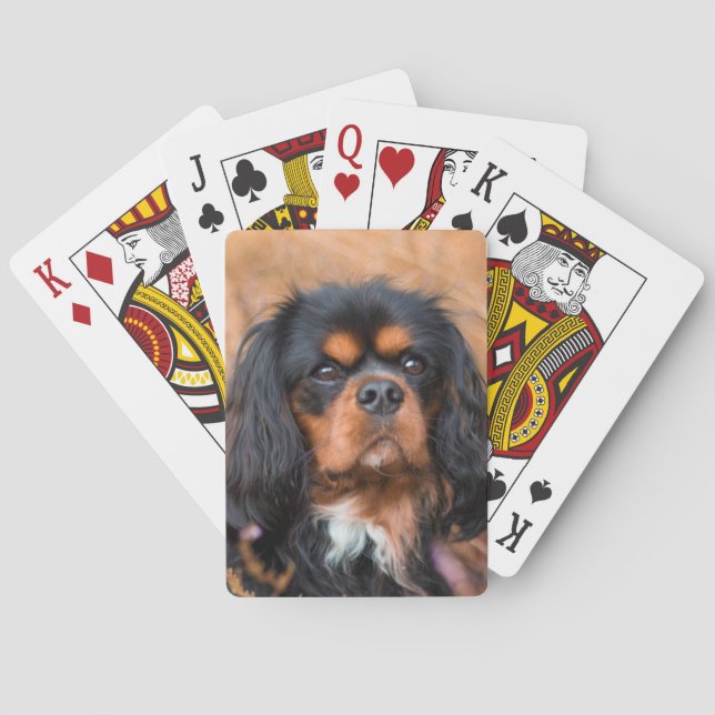 Jeu De Cartes Le roi Charles Spaniel Charles de Noir et de Tan C (dos)