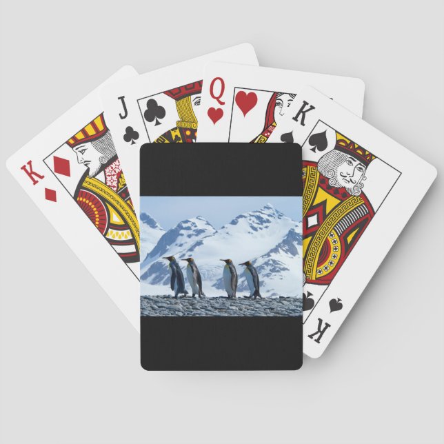 Jeu De Cartes Le roi Penguins de Géorgie du Sud (dos)