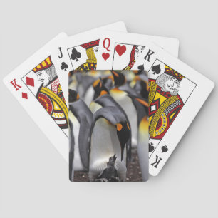 Jeu De Cartes Le Roi pingouin avec le poussin