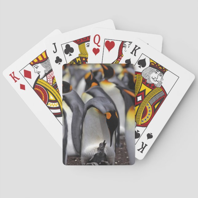 Jeu De Cartes Le Roi pingouin avec le poussin (dos)