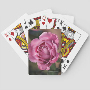 Jeu De Cartes Le visage d'ange s'est levé