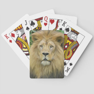 Jeu De Cartes Le visage du lion