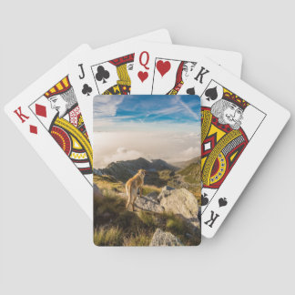 Jeu De Cartes Le voyage