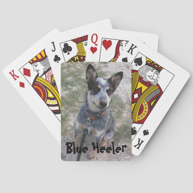 Jeu De Cartes Lecteur de carte Blue Heiler (dos)