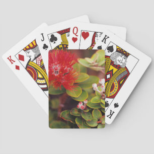 Jeu De Cartes Lehua fleurit dans les volcans d'Hawaii