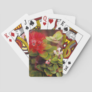 Jeu De Cartes Lehua Fleurit Dans Les Volcans D'Hawaii