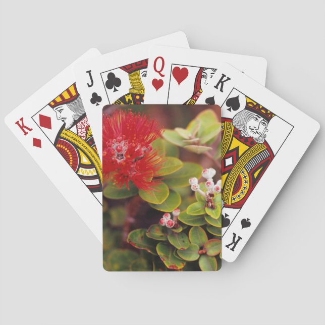 Jeu De Cartes Lehua Fleurit Dans Les Volcans D'Hawaii (dos)