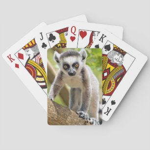 Jeu De Cartes Lémurien à anneaux bébé