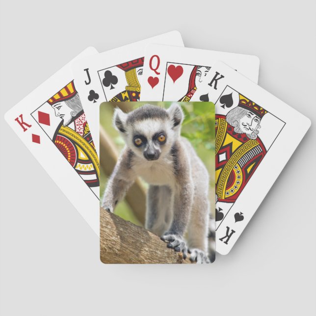 Jeu De Cartes Lémurien à anneaux bébé (dos)