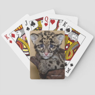 Jeu De Cartes Léopard opacifié CUB