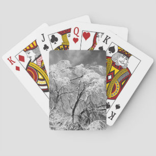 Jeu De Cartes les arbres l'hiver