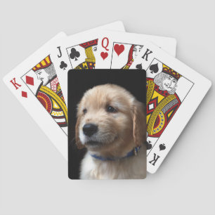 Jeu De Cartes Les bébés animaux les plus mignons   chiot Golden 