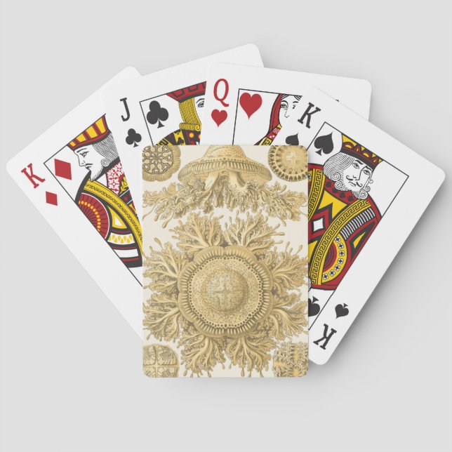 Jeu De Cartes Les créatures de la mer d'or (dos)