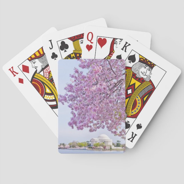 Jeu De Cartes Les Etats-Unis, Washington DC, cerisier en fleur (dos)